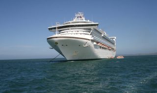Carnival Cruises Bed Bugs Carnival Cruises Bed Bugs
