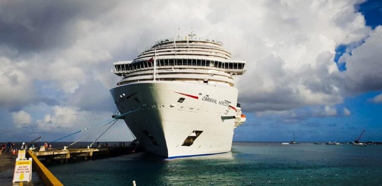Crew Member Lost From Carnival Horizon