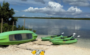 What I Learned Visiting Princess Cays, Bahamas