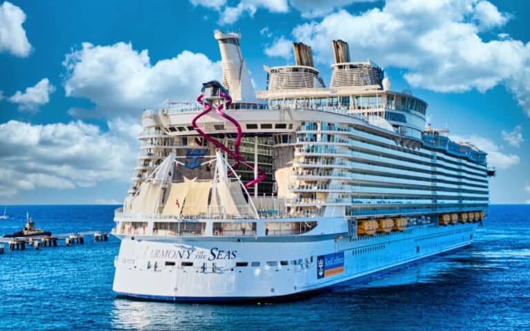 Investigation Points to Royal Caribbean After Canceled SpaceX Launch