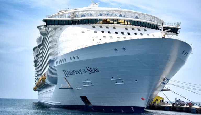 Passenger from Royal Caribbean Ship Dies After Shark Attack