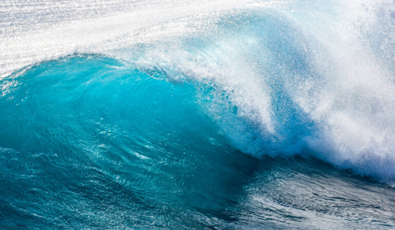 Cruise Ship vs Giant Wave – How Do the Ships Survive?