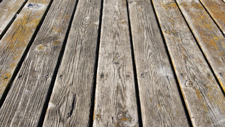 What Is a Poop Deck? It’s Not What You Think
