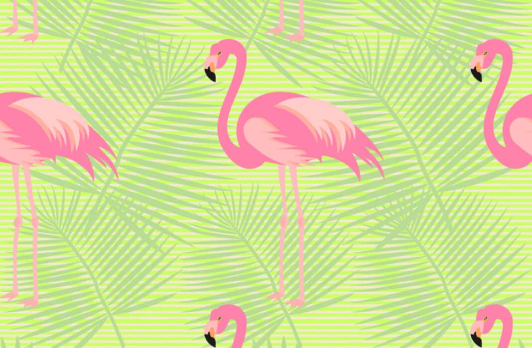 Pink Flamingo Meaning on Cruises: What You Must Know!