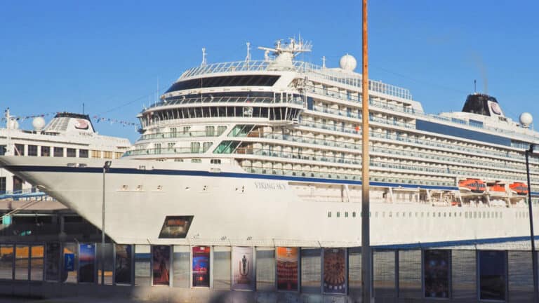 Who Owns Viking Cruises?
