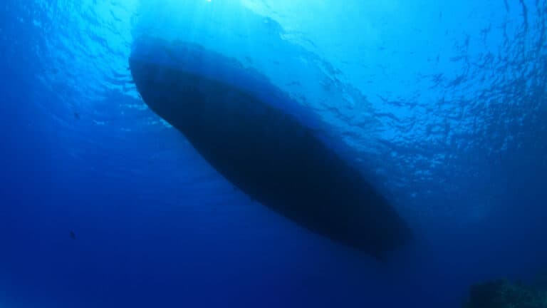 How Much of a Cruise Ship Is Underwater?