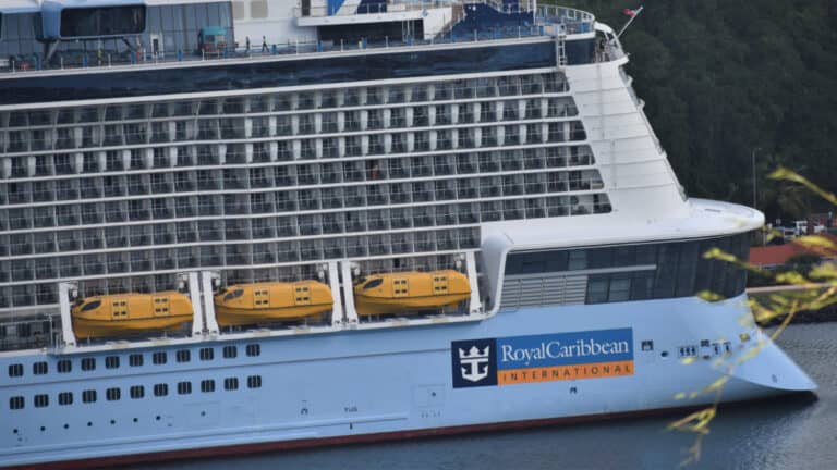 Royal Caribbean Tech Error Reminds Everyone of Safety Briefing