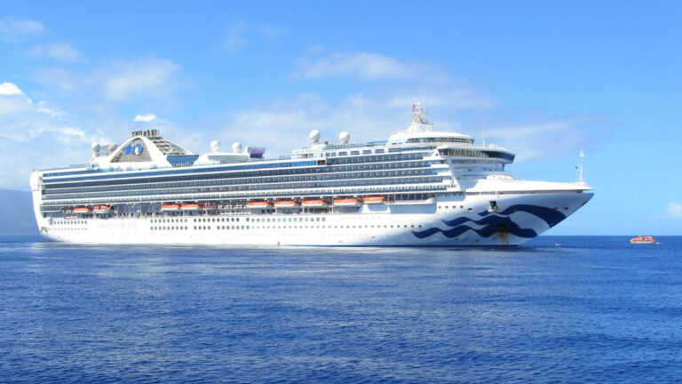 Princess Cruises Ship Performs Daring Midnight Rescue