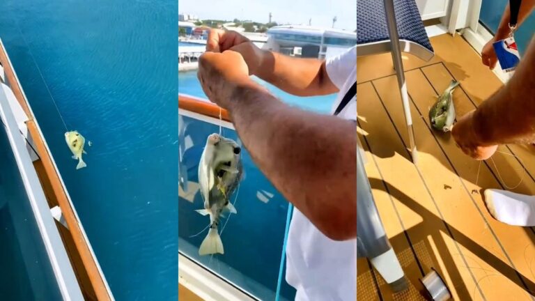 Passenger Captured Fishing From Carnival Cruise Ship Balcony