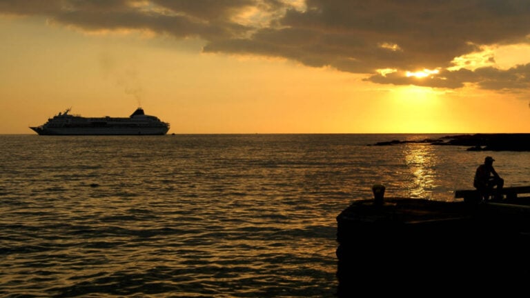 Cruise Ship Passenger Left Behind During World Voyage