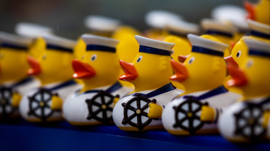 Cruise Ducks: Everything You Ever Wanted to Know!
