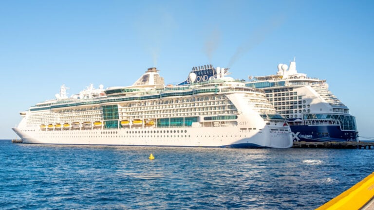 Record Bookings for Royal Caribbean Brings Profitability One Step Closer