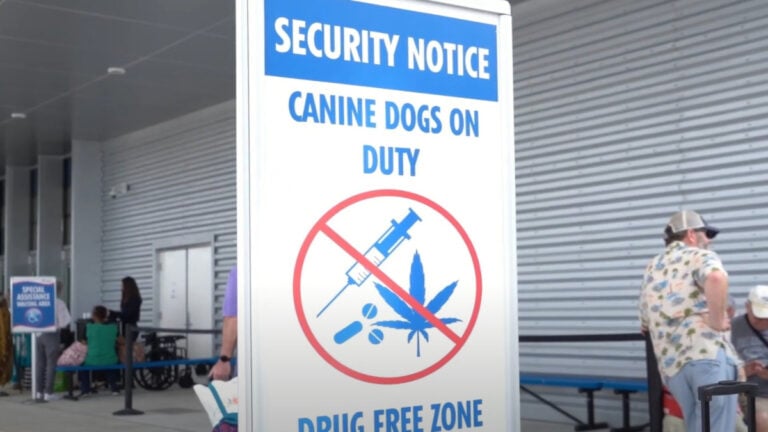 Carnival Cruise Line Gets Serious With Detection Dogs