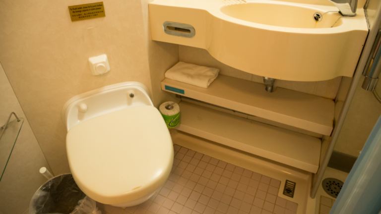 How Do Cruise Ships Get Rid of Human Waste?