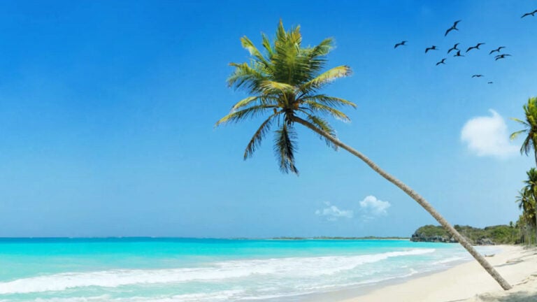 Guests Can Be First to Know About Carnival’s New Private Port