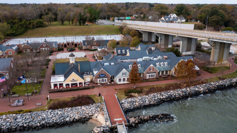 Cruise Ban Petition Gathers Thousands of Signatures