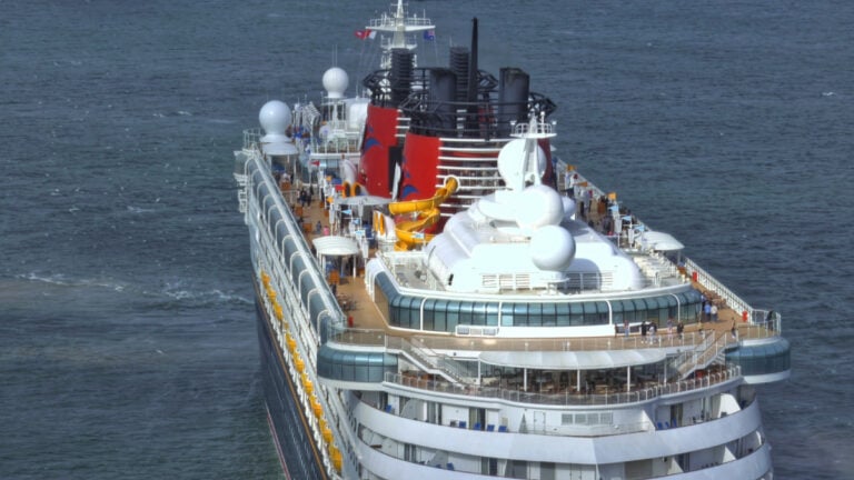 Disney Cruise Line Helps Rescue Seabird in Atlantic Ocean