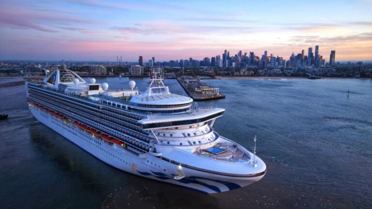 Princess Cruise Ship Delayed for Disinfection