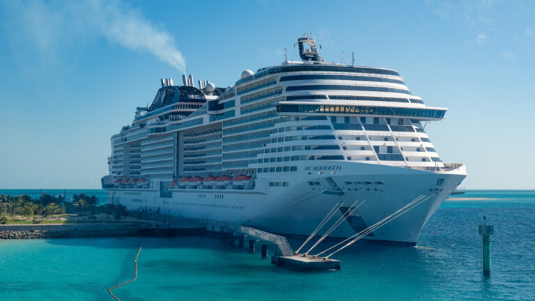 MSC Cruises Crew Member Helps Rescue Guest at Ocean Cay