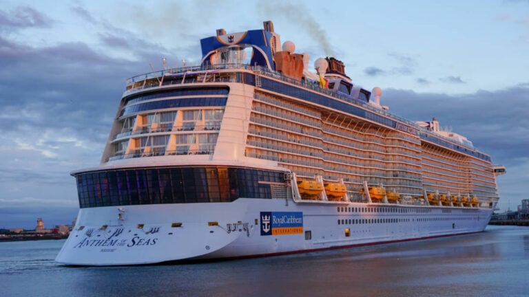 Cruise Ship Entertainer Saves Passenger’s Life Just Before Show
