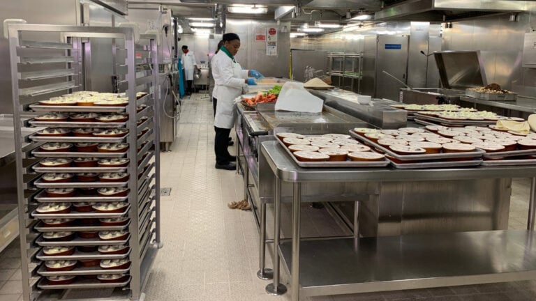 Popular Carnival Tour to Be Available for Pre-Cruise Reservations