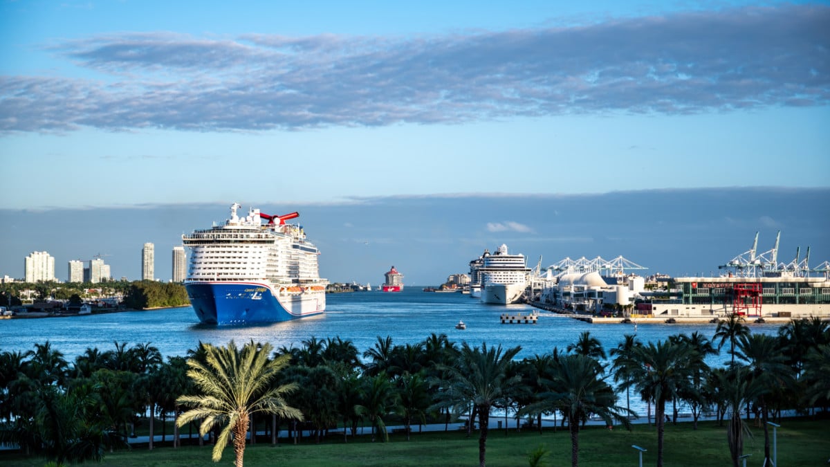 Cruise Ships at PortMiami