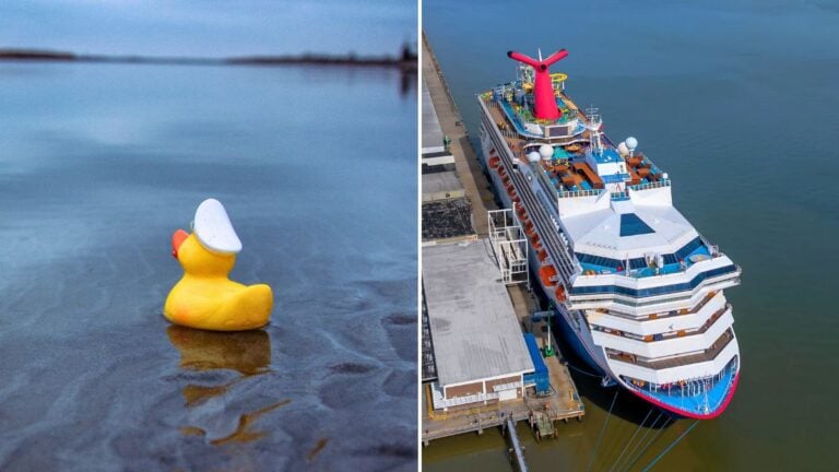 Carnival Addresses Yet Another Cruising Duck Controversy