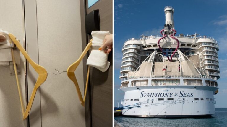 Cruise Passenger Goes to Extreme Lengths to Keep Cabin Secure