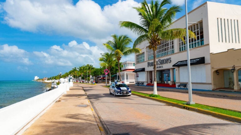 Search Continues for Missing Cruise Passenger in Mexico