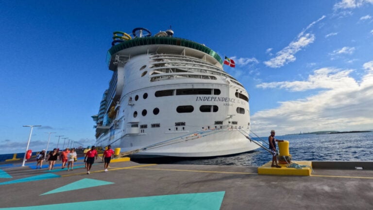 Cruise Guest Handed Hefty Bill – During Evacuation