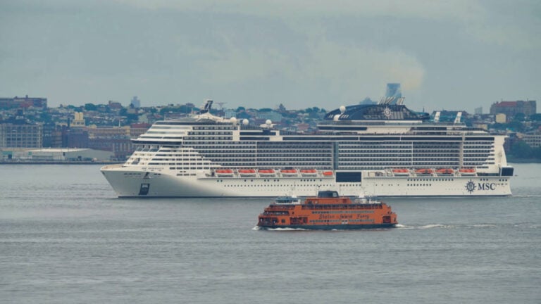 MSC Cruises Ship Brings Deceased Whale Into New York