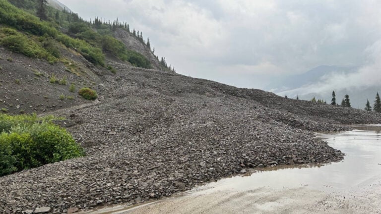 Cruise Guests Stranded in Canada By Rockslide Reunite With Ships