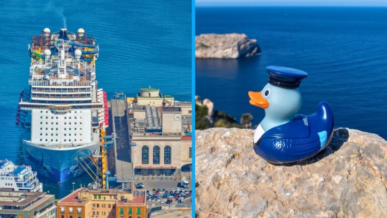 New Controversy Emerges Over Cruising Ducks in Port