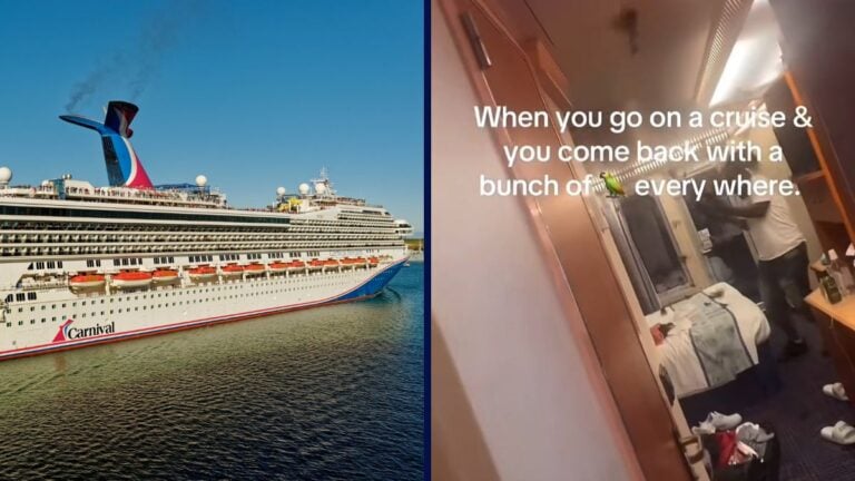 Carnival Cruise Passengers Surprised as Birds Cause Havoc