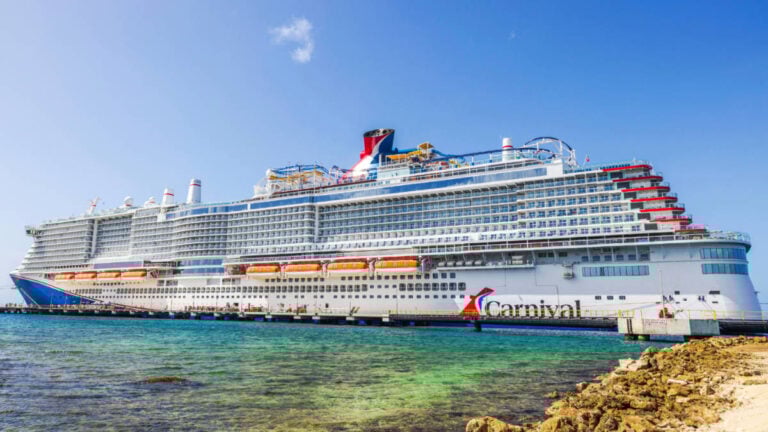 Carnival Asks: Would You Recycle a Popular Cruise Souvenir?