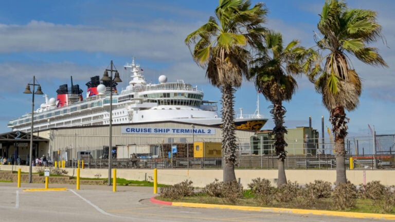 Galveston Hits Milestone With 1.5-Millionth Cruise Passenger