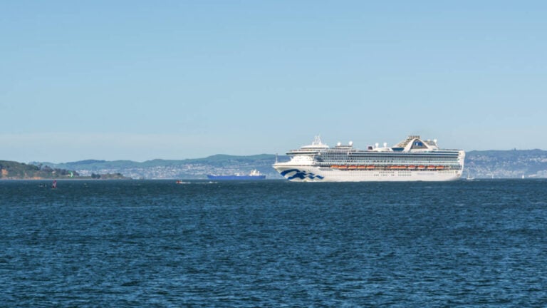 Passenger Believed to Have Gone Overboard Princess Cruises Ship