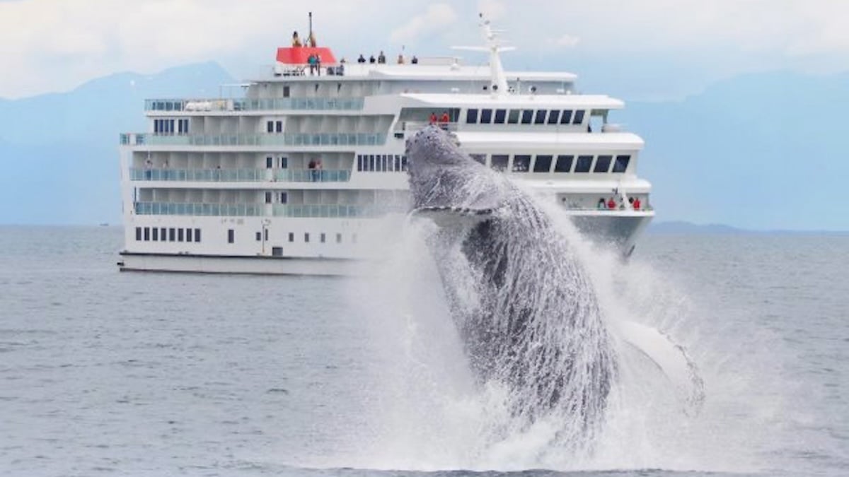 American Cruise Line Alaska