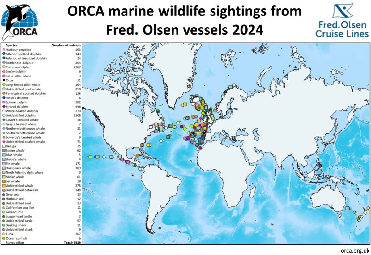 ORCA Marine Wildlife Sightings From Fred. Olsen Vessels in 2024