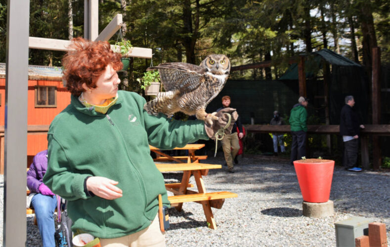 Akaska Raptor Sitka Cruise Port Guide: Terminals, Piers, and What's Nearby