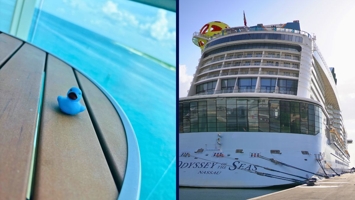 Royal Caribbean Cruise Ducks