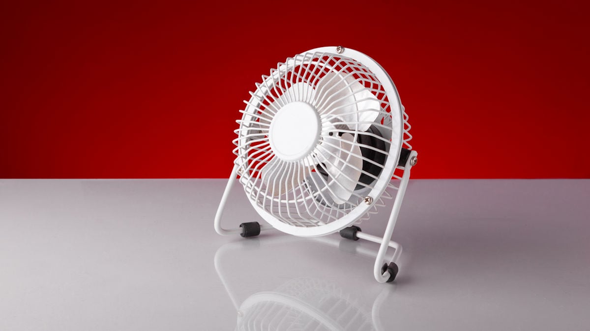 Travel Fan (Photo Credit: Dolkinx / Shutterstock)