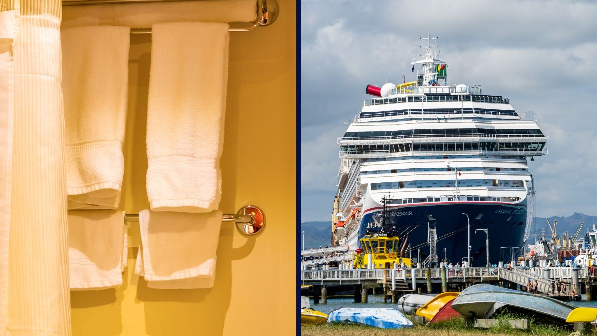Carnival Cruise Towels