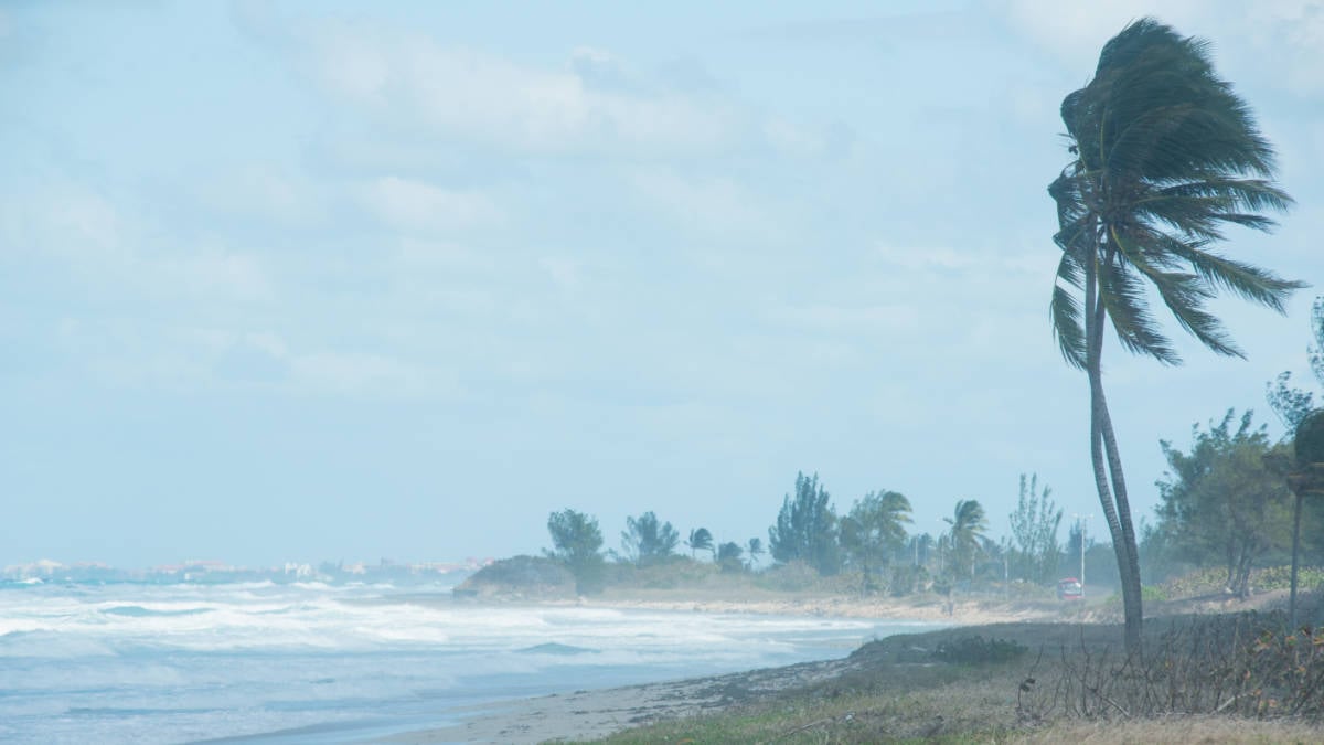 Strong Caribbean Hurricane