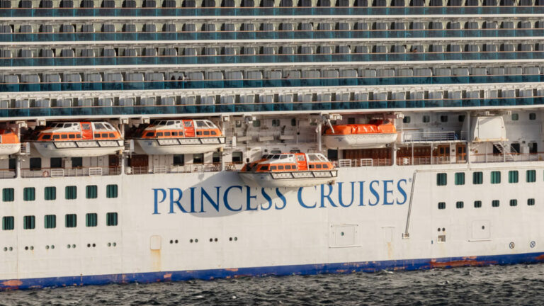 Princess Cruise Ships By Size: Largest to Smallest