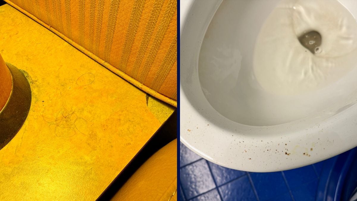 Carnival Miracle Cabin Conditions