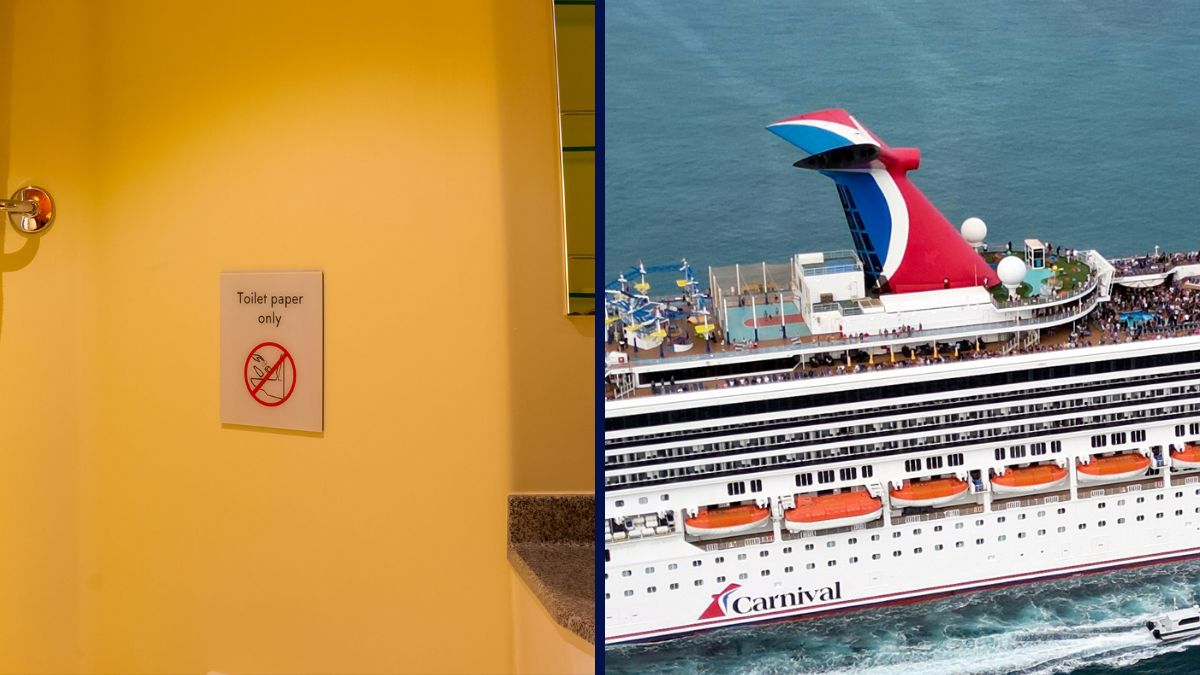Carnival Cruise Toilet Wipes