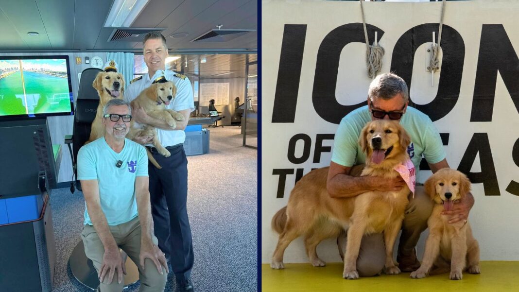 Newest Royal Caribbean Crew Member Meets Senior Officer