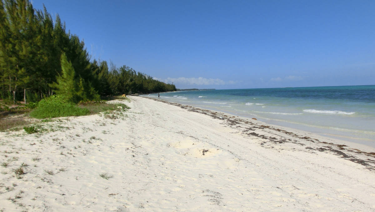 Gold Rock Beach