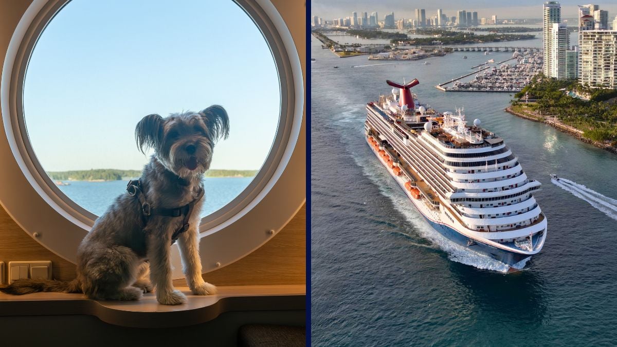Dog Pet and Carnival Cruise